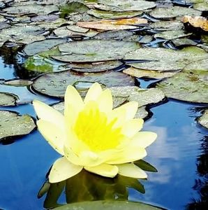 Meet your Posher, Melina